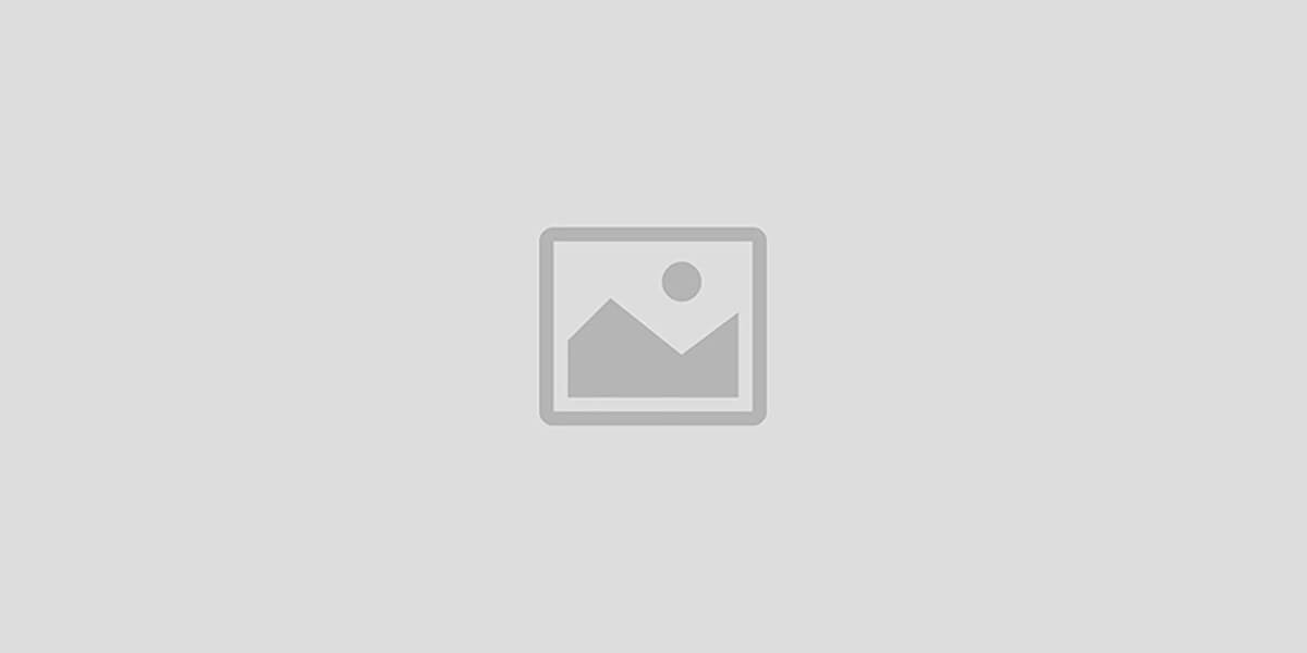 ICON MART | Copyright by 2025